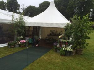 Hawa Fatimata Kone Pagodas Hawa Fatimata Kone Pagodas